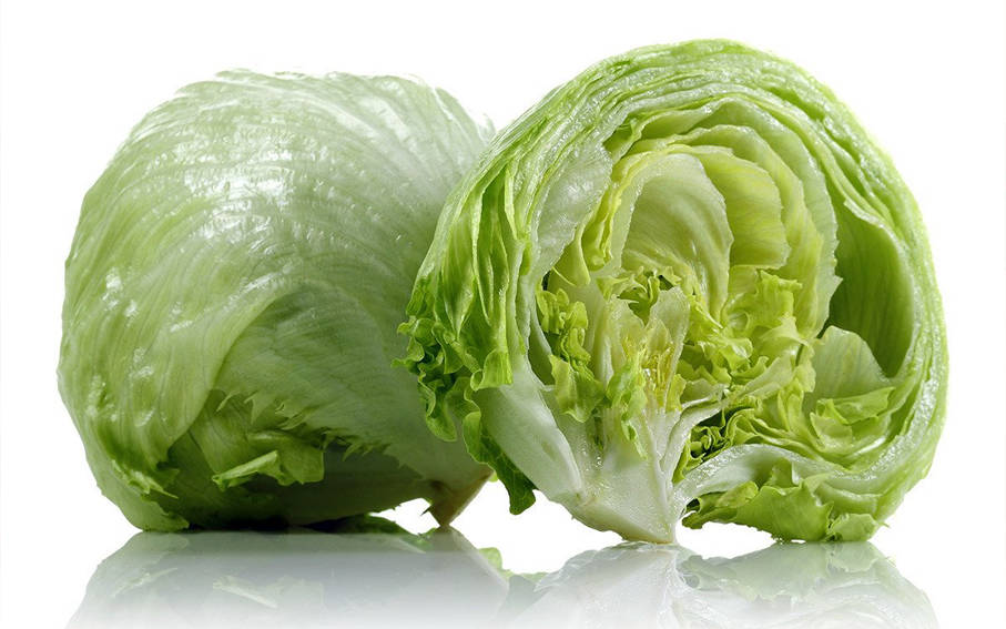 iceberg lettuce for export