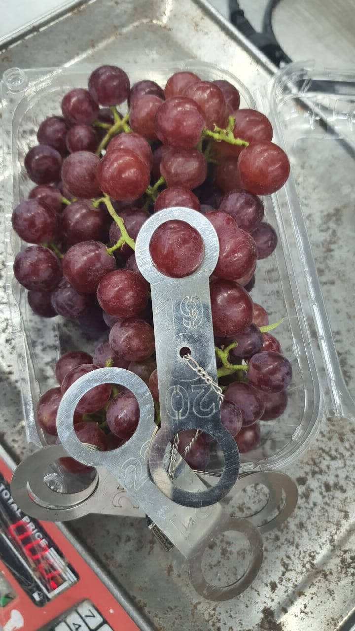 grapes export pack house