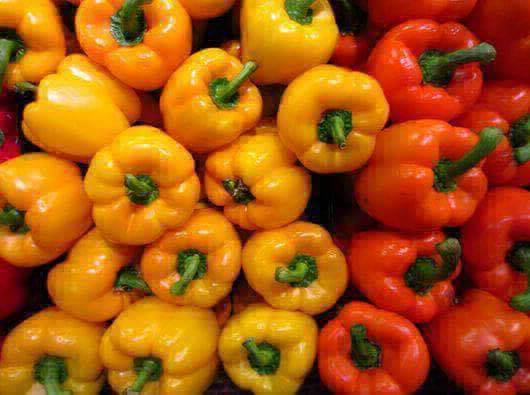 pepper export
