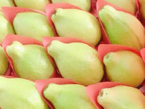 Guava