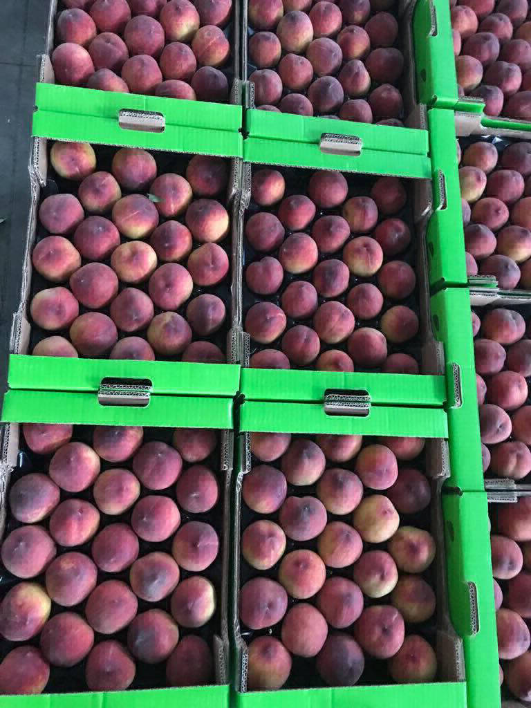 Peaches Exporting Company in EGYPT HITAC Trading Company
