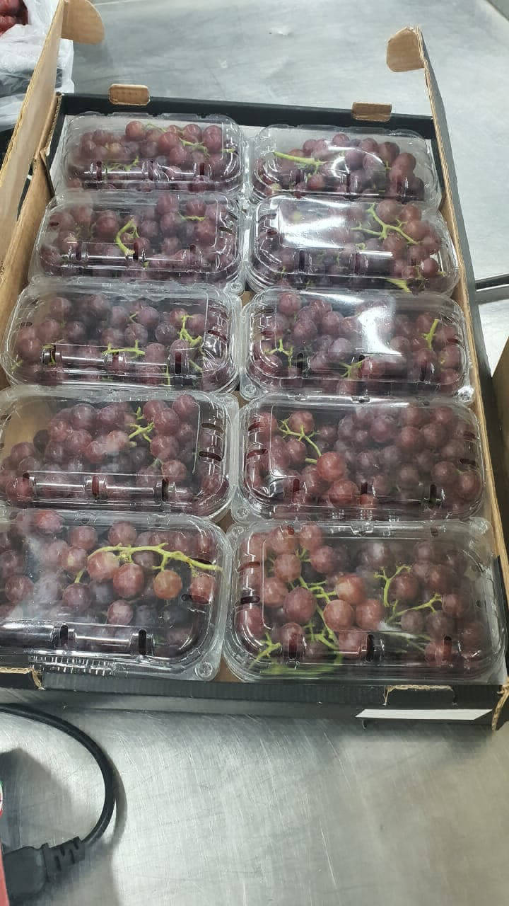 biggest exporter of grapes