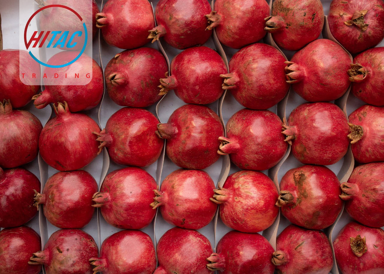 pomegranate export season