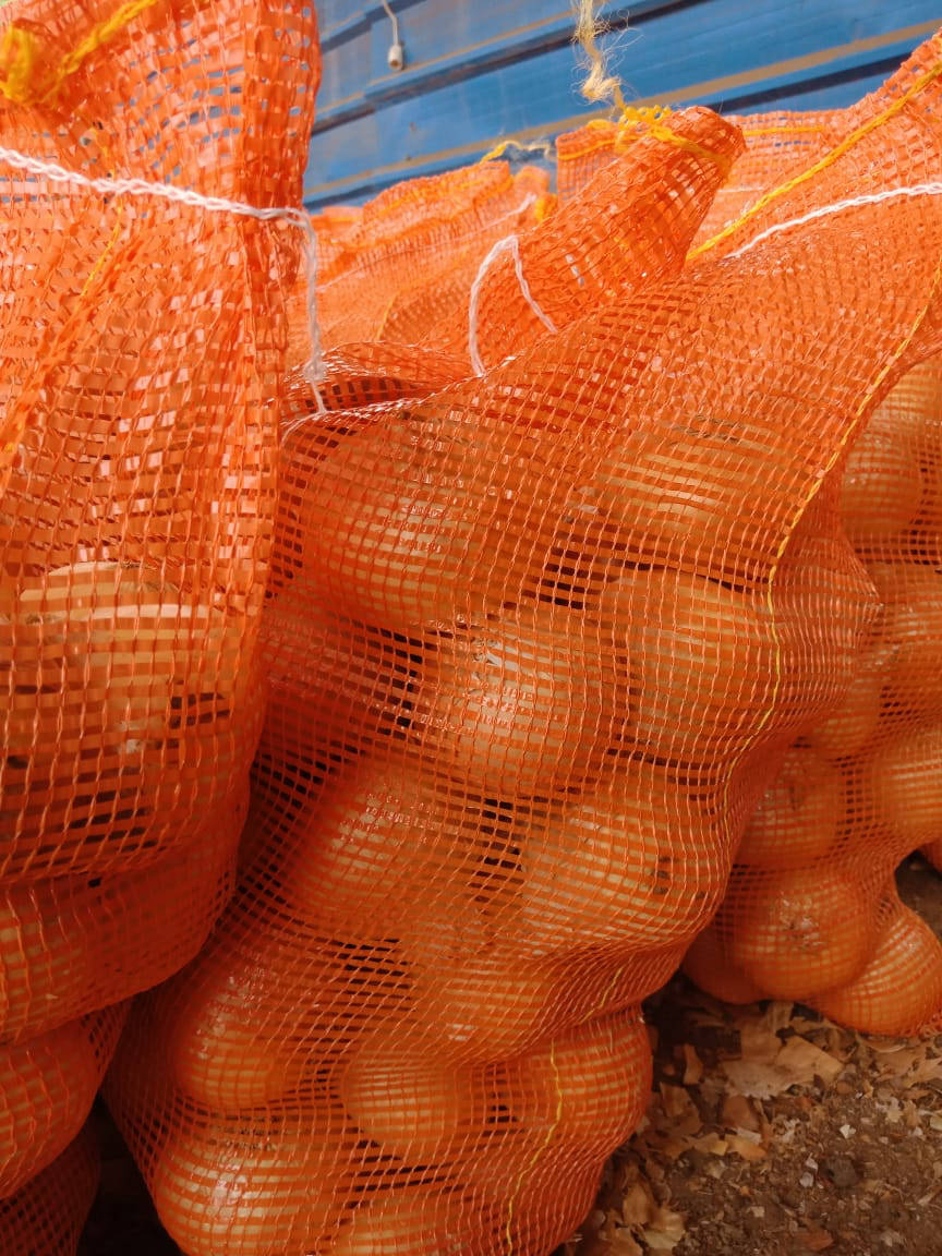 yellow onion exporters