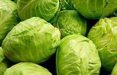 iceberg lettuce exporters