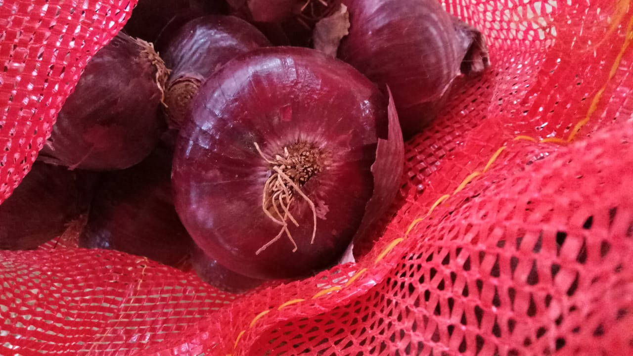 red onion exporters