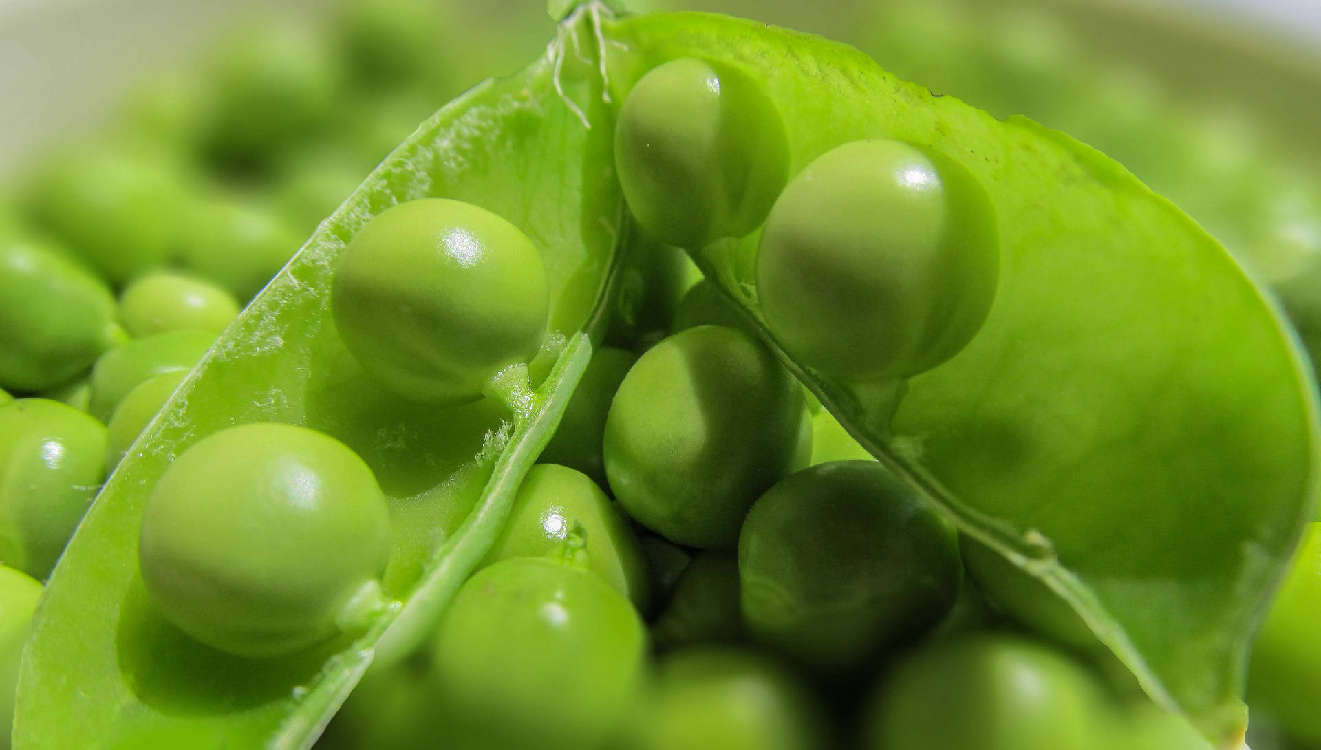 Green peas export company
