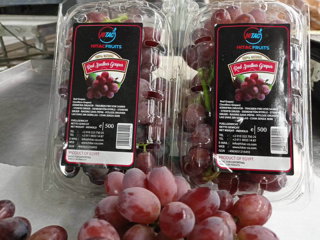 biggest exporter of grapes