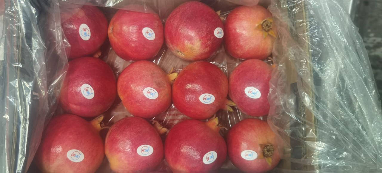 pomegranate export procedure