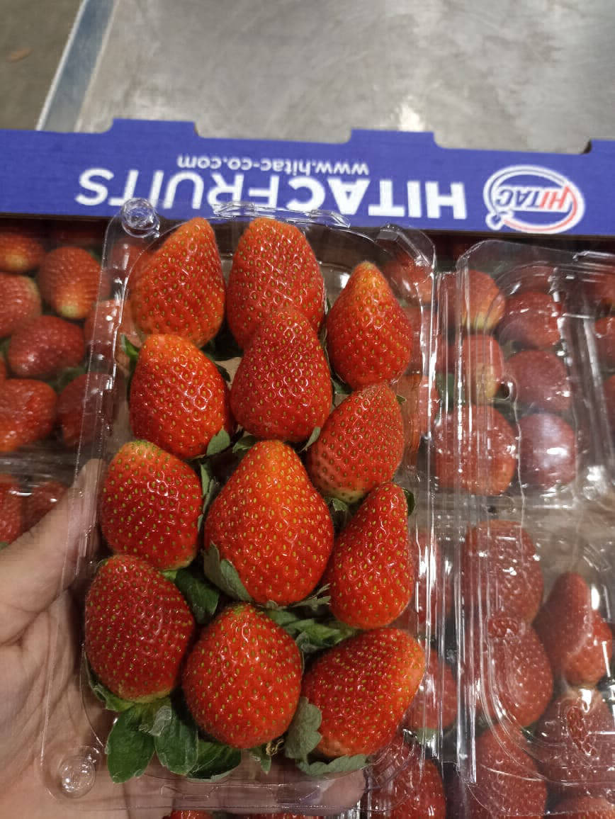 strawberries for export