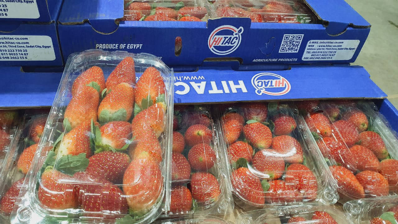 export companies strawberries