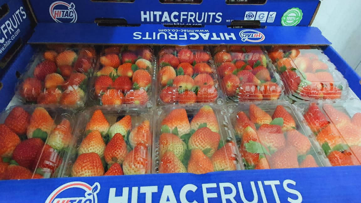 strawberries supplier