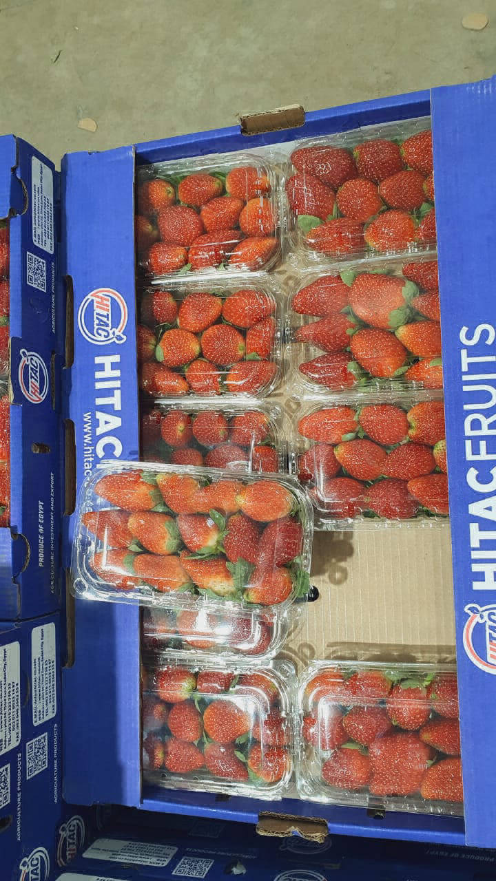 strawberry exporters
