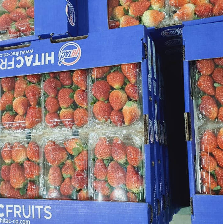 strawberries export import