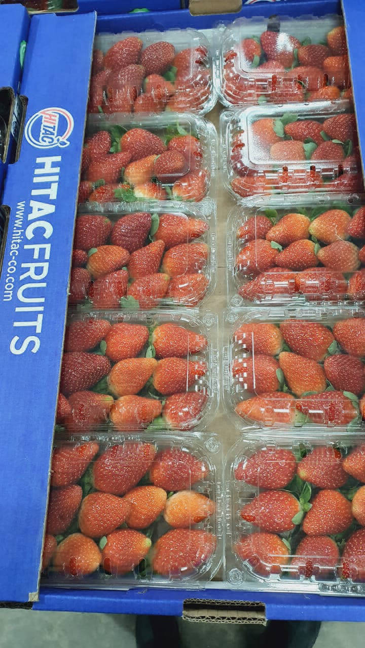 strawberries exported