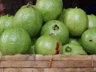 Guava